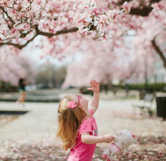 Small girl wondering at pink blossom.